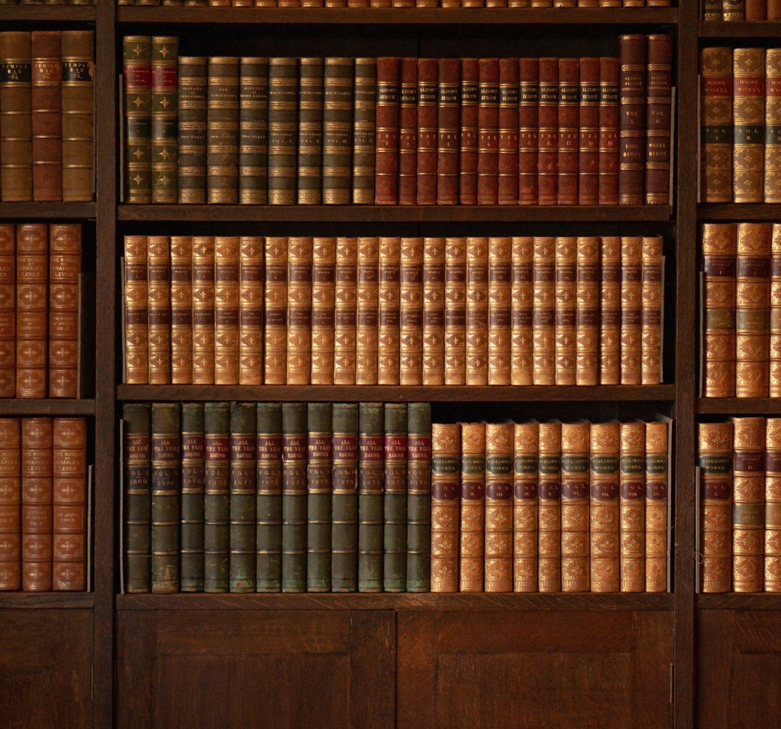 A wall of shelves full of old leather-bound books